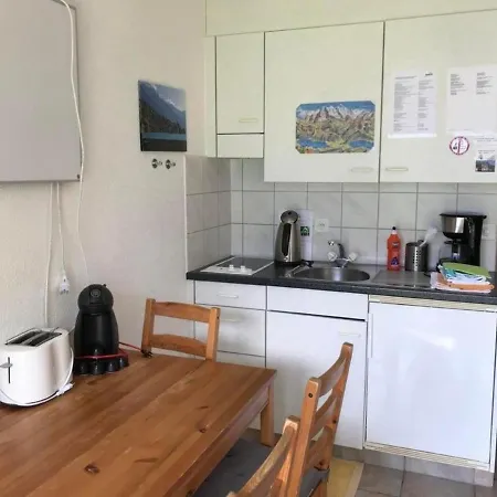 Apartment Panoramastudio An Bester Lage Mit Aussicht Auf Brienzersee Und Berner Alpen! Oberried am Brienzersee