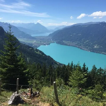 Apartment Panoramastudio An Bester Lage Mit Aussicht Auf Brienzersee Und Berner Alpen!