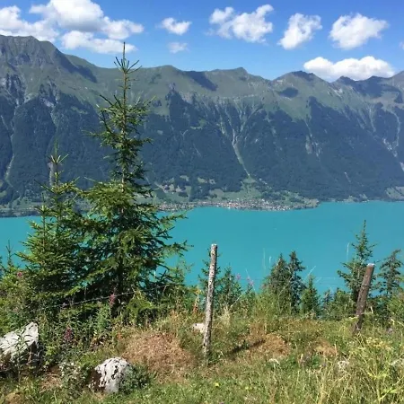 Panoramastudio An Bester Lage Mit Aussicht Auf Brienzersee Und Berner Alpen! * Oberried am Brienzersee